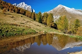 Da Borno in Val Camonica bella traversata Rif. Laeng - Rif. S. Fermo sulle pendici del Pizzo Camino il 19 ottobre 2010 - FOTOGALLERY